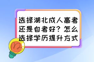 選擇湖北成人高考還是自考好？怎么選擇學(xué)歷提升方式？