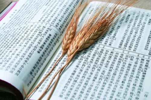 湖北成教騙局有哪些如何避免被騙？