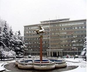 武漢理工大學(xué)成人高考專升本可以報考哪些專業(yè)？