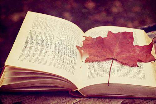 湖北成人高考函授本科可以考編制嗎？