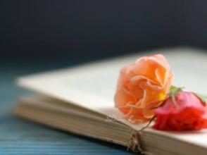 湖北成人高考考場(chǎng)突發(fā)事件應(yīng)該如何處理？