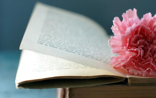 2019年湖北第二師范學(xué)院成教報名流程是什么?