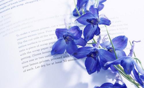 湖北成考錄取結果什么時候公布 錄取通知書什么時候領取?