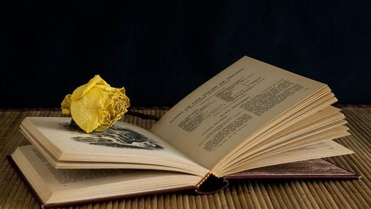 湖北成人高考復(fù)習方法有哪些?