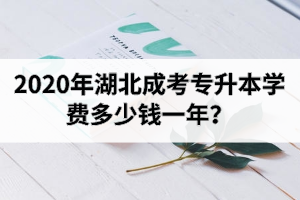 2020年湖北成考專升本熱門招生專業(yè)有哪些？學(xué)費多少錢一年？