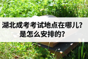 湖北成考考試地點在哪兒？是怎么安排的？
