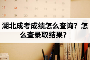 湖北成考成績(jī)?cè)趺床樵?？怎么查錄取結(jié)果？