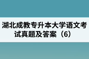 湖北成教專升本大學(xué)語文考試真題及答案（6）