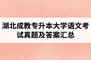 湖北成教專升本大學(xué)語文考試真題及答案匯總