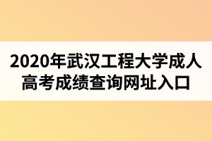2020年武漢工程大學(xué)成人高考成績查詢網(wǎng)址入口