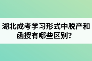 湖北成考學(xué)習(xí)形式中脫產(chǎn)和函授有哪些區(qū)別？