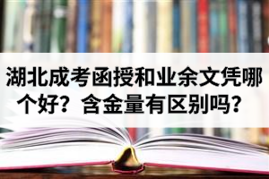 湖北成考函授和業(yè)余文憑哪個(gè)好？
