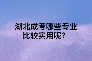 湖北成考哪些專業(yè)比較實用呢？