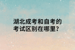 湖北成考和自考的考試區(qū)別在哪里？