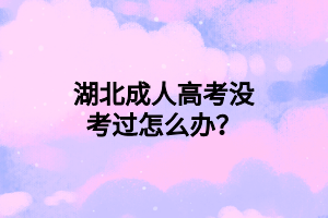 湖北成人高考沒考過怎么辦？