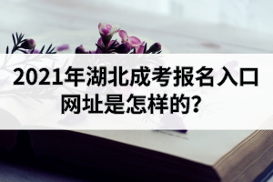 2021年湖北成考報(bào)名入口網(wǎng)址是怎樣的？