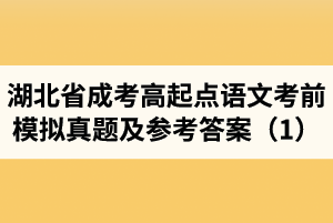 湖北省成人高考高起點(diǎn)語文考前模擬真題及參考答案（1）