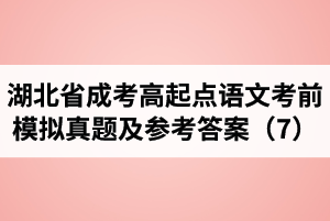 湖北省成人高考高起點(diǎn)語文考前模擬真題及參考答案（7）