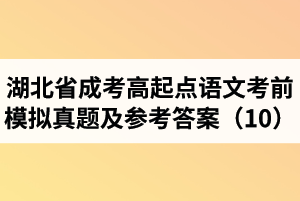 湖北省成人高考高起點(diǎn)語文考前模擬真題及參考答案（10）