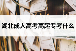 湖北成人高考高起專考什么？