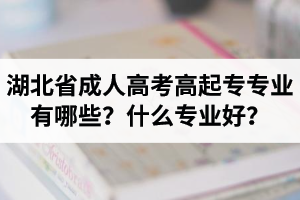 湖北省成人高考高起專專業(yè)有哪些？什么專業(yè)好？