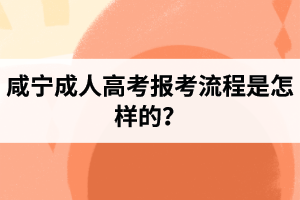 咸寧成人高考報(bào)考流程是怎樣的？