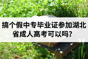 搞個(gè)假中專畢業(yè)證參加湖北省成人高考可以嗎？