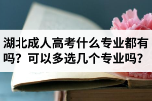 湖北省成人高考什么專業(yè)都有嗎？報(bào)名時(shí)可以多選幾個(gè)專業(yè)嗎？