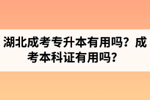 湖北省成人高考專(zhuān)升本有用嗎？成考本科證有用嗎？