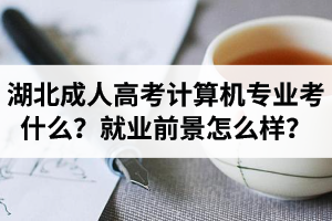 湖北成人高考計(jì)算機(jī)專業(yè)考什么？就業(yè)前景怎么樣？