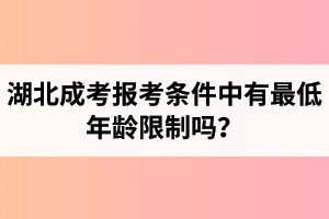 湖北成考報考條件中有最低年齡限制嗎？