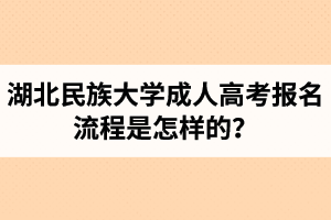 湖北民族大學(xué)成人高考報(bào)名流程是怎樣的？