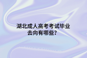 湖北成人高考考試畢業(yè)去向有哪些？