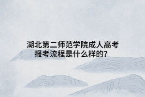 湖北第二師范學(xué)院成人高考報(bào)考流程是什么樣的？