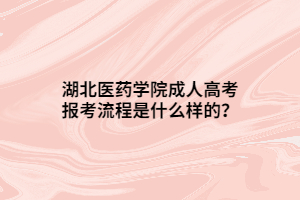 湖北醫(yī)藥學(xué)院成人高考報考流程是什么樣的？