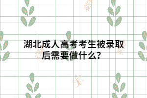 湖北成人高考考生被錄取后需要做什么？