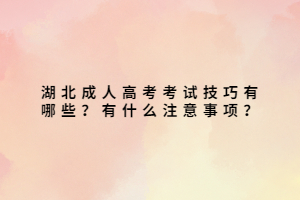 湖北成人高考考試技巧有哪些？有什么注意事項？