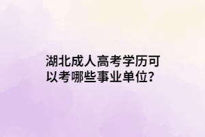 湖北成人高考學(xué)歷可以考哪些事業(yè)單位？