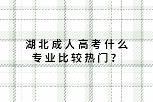 湖北成人高考什么專(zhuān)業(yè)比較熱門(mén)？