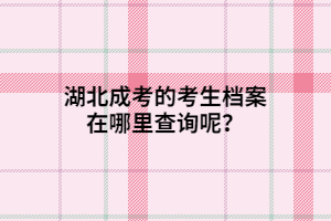 湖北成考的考生檔案在哪里查詢呢？