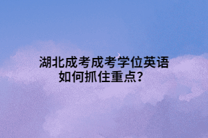 湖北成考成考學(xué)位英語(yǔ)如何抓住重點(diǎn)？