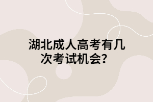 湖北成人高考有幾次考試機會？