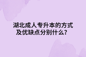 湖北成人專升本的方式及優(yōu)缺點分別什么？