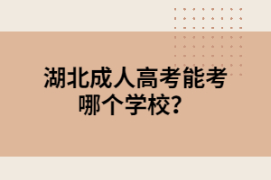 湖北成人高考能考哪個(gè)學(xué)校？