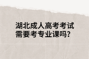 湖北成人高考考試需要考專業(yè)課嗎？