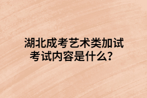 湖北成考藝術(shù)類加試考試內(nèi)容是什么？