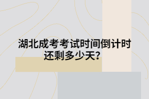 湖北成考考試時間倒計時還剩多少天？