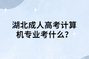 湖北成人高考計(jì)算機(jī)專業(yè)考什么？