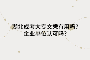 湖北成考大專文憑有用嗎?企業(yè)單位認可嗎?
