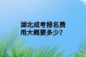 湖北成考報名費用大概要多少？